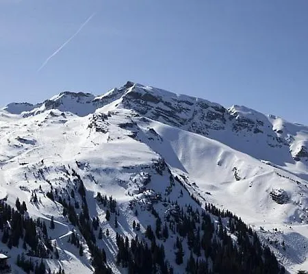 Pierre & Le Douchka Apartment Avoriaz